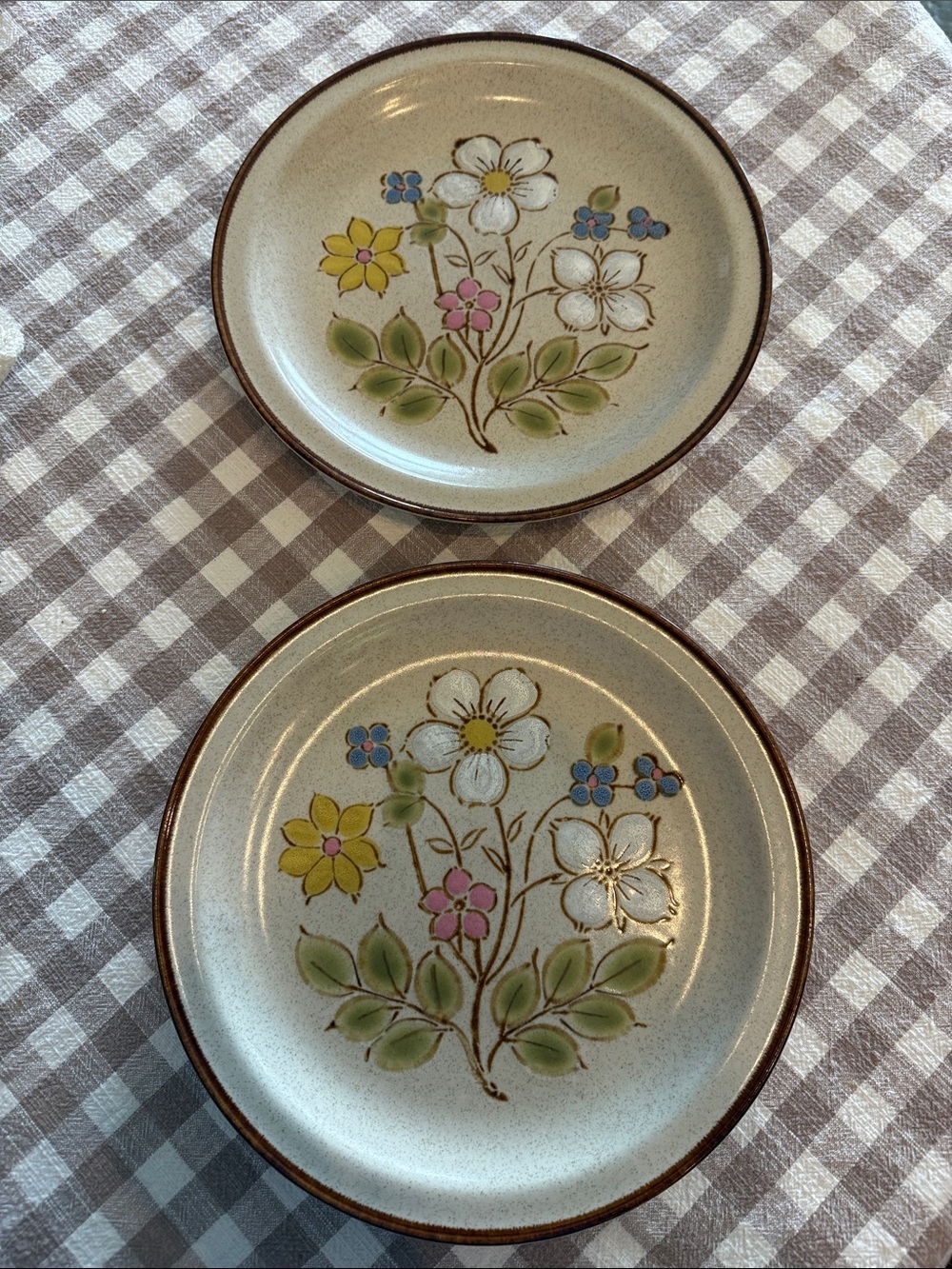 International China Crestone Vintage  Stoneware Dinner Plates Candy Bush